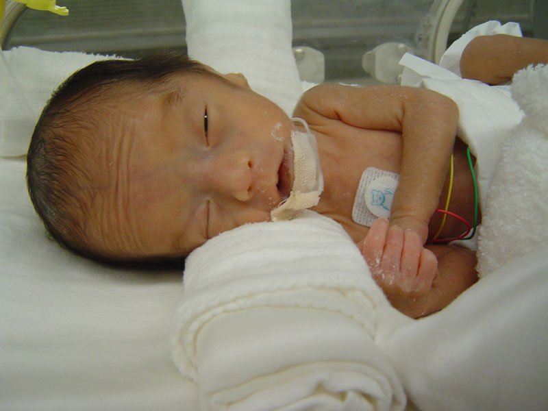 ��ũ���줿��