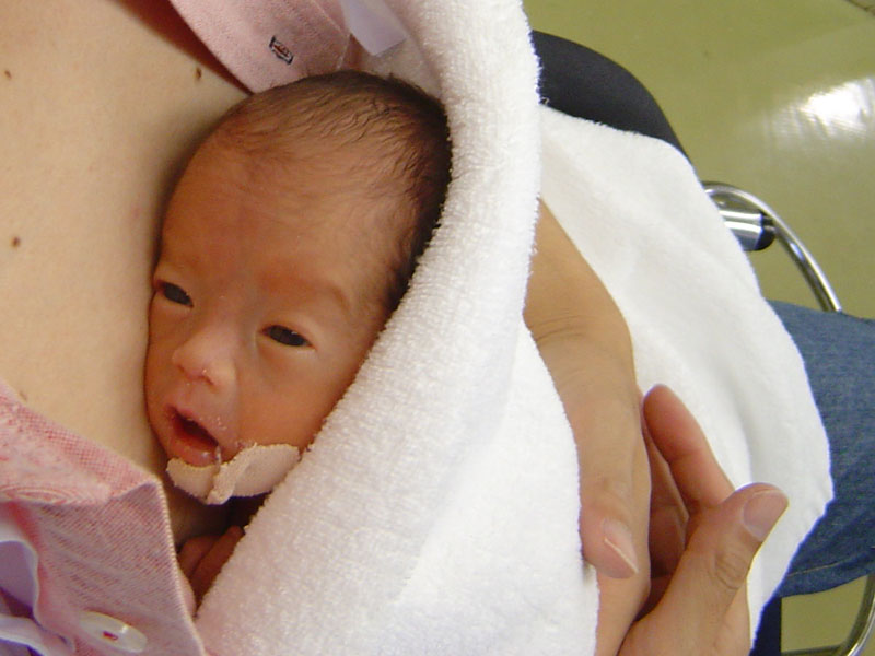 ���ǥ��������ä�